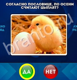 Подсказки на игру Да или Нет Уровень 1742