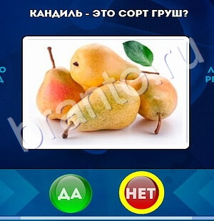 игра Да или Нет помощь Уровень 1759