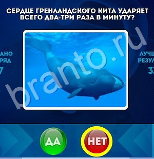 Игра Да или Нет подсказки Уровень 1768