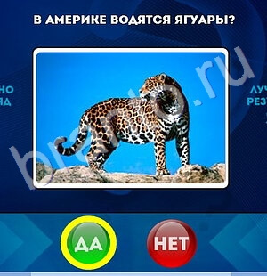 ответы на игру в одноклассниках Да или Нет Уровень 1776