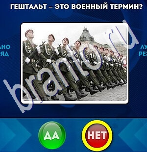 ответы на игру Да или Нет в одноклассниках Уровень 1801