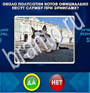 Помощь на игру ВК Да или Нет Уровень 1804