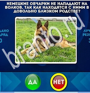 ответы на игру в одноклассниках Да или Нет Уровень 1806