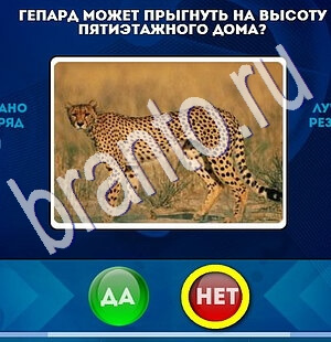 Да или Нет подсказки в контакте Уровень 1809