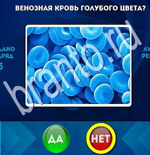 Да или Нет игра подсказки Уровень 1814