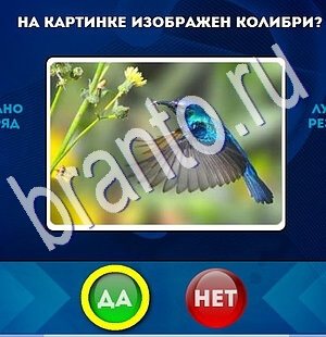 Игра Да или Нет подсказки Уровень 1818