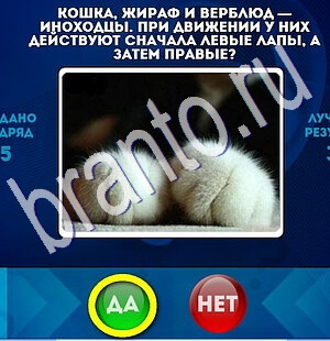 Да или Нет решения Уровень 1822