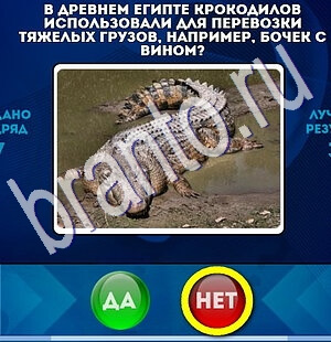 Да или Нет игра подсказки Уровень 1824
