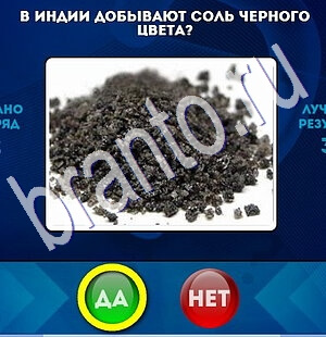 игра Да или Нет помощь Уровень 1829