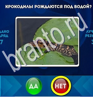 Помощь на игру ВК Да или Нет Уровень 1834