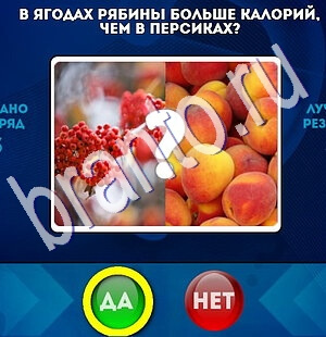 Игра Да или Нет ответы Уровень 1847