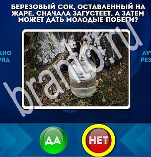 игра Да или Нет ответ на Уровень 1850