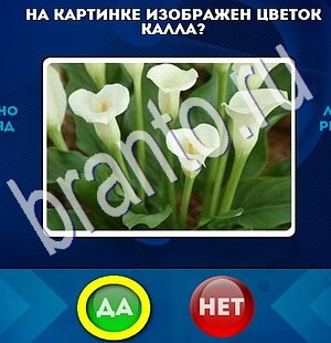 решебник на игру Да или Нет Уровень 1851