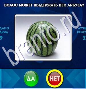 Да или Нет игра ответы Уровень 1853