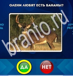 ответы на игру в одноклассниках Да или Нет Уровень 1866