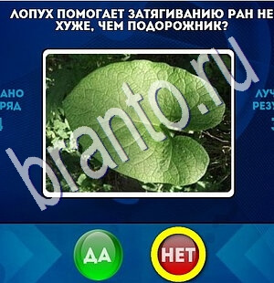 Да или Нет игра ответы в одноклассниках Уровень 1867