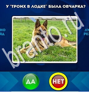 Игра Да или Нет подсказки Уровень 1878
