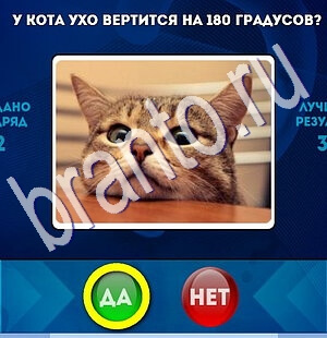 Игра Да или Нет подсказки Уровень 1888