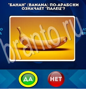 Подсказки на игру Да или Нет Уровень 1952