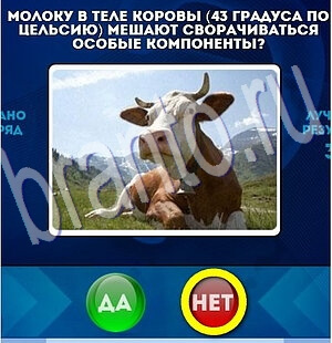 Помощь на игру ВК Да или Нет Уровень 1954