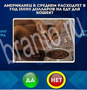 ответы к игре Да или Нет Уровень 1955