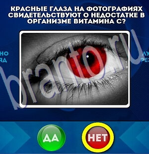 Да или Нет игра ответы Уровень 1963