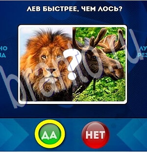 Да или Нет игра помощь Уровень 1965