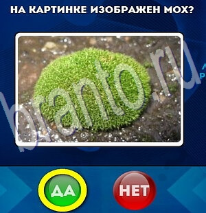 Подсказки на игру Да или Нет Уровень 1982