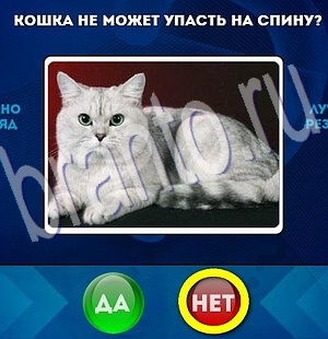 Да или Нет подсказки в контакте Уровень 1989