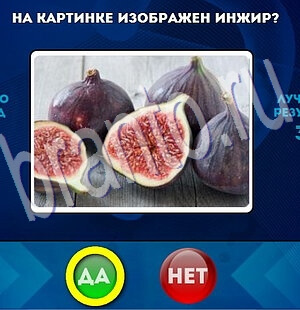 Да или Нет игра подсказки Уровень 1994