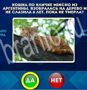 Игра Да или Нет ответы Уровень 1997