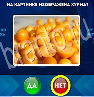 Решения на игру Да или Нет Уровень 2013
