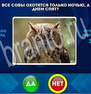 Помощь на игру ВК Да или Нет Уровень 2014