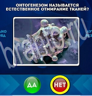 Да или Нет подсказки в контакте Уровень 2019