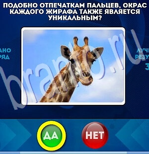 Да или Нет решения Уровень 2022