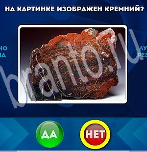 Да или Нет игра ответы Уровень 2023