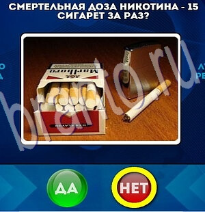 Да или Нет игра помощь Уровень 2025