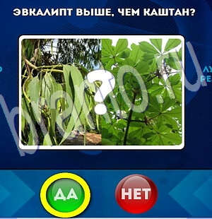 игра Да или Нет помощь Уровень 2039