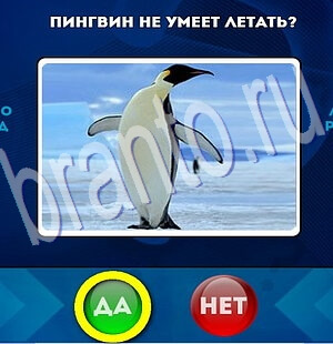 Одноклассники Да или Нет ответы Уровень 2078