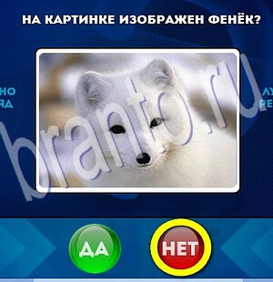 решебник на игру Да или Нет Уровень 2081