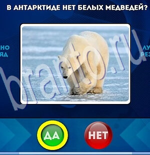 Да или Нет игра помощь Уровень 2085