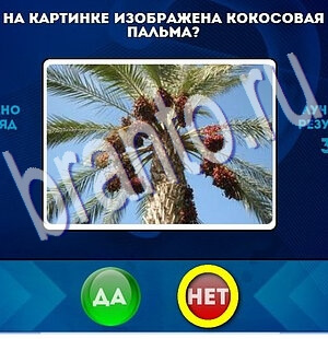 игра Да или Нет ответ на Уровень 2110