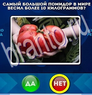 Да или Нет решения Уровень 2112