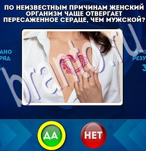 решебник на игру Да или Нет Уровень 2121