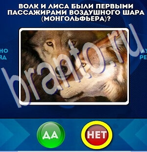 Да или Нет игра помощь Уровень 2125