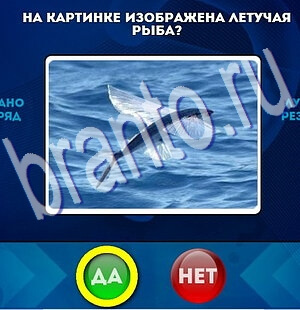 решебник на игру Да или Нет Уровень 2171