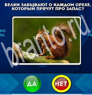 Да или Нет ответы в картинках Уровень 2176