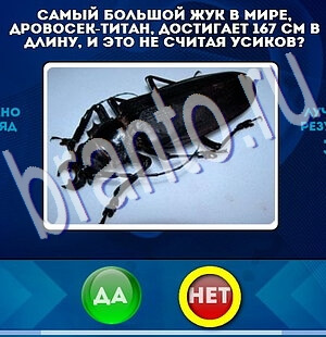 Помощь на игру ВК Да или Нет Уровень 2224