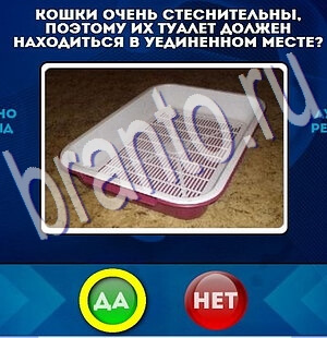 Да или Нет игра ответы Уровень 2233