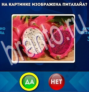 игра Да или Нет ответ на Уровень 2240